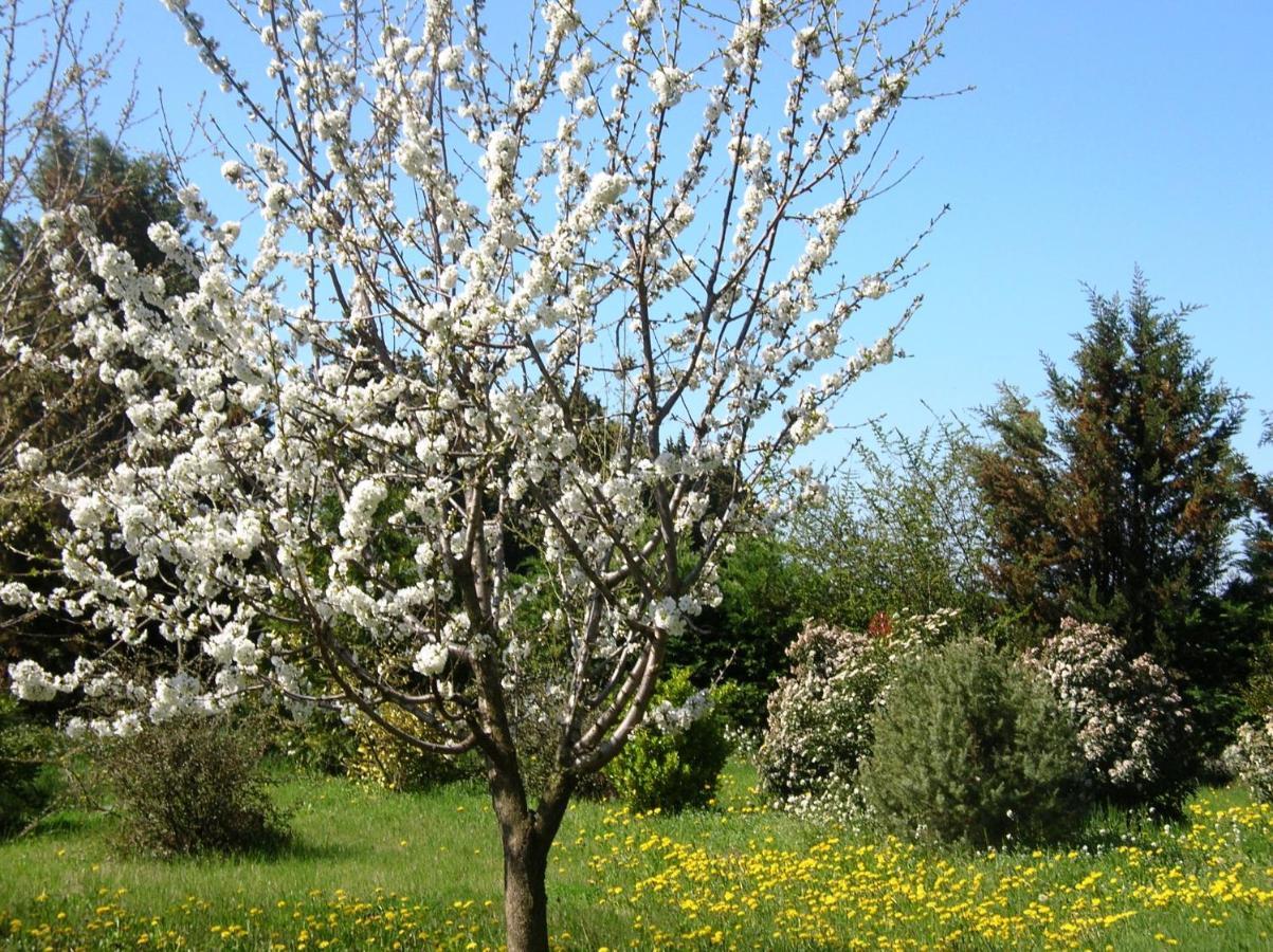 Le Mas De La Cigale Bleue, Caumont Sur Durance 외부 사진